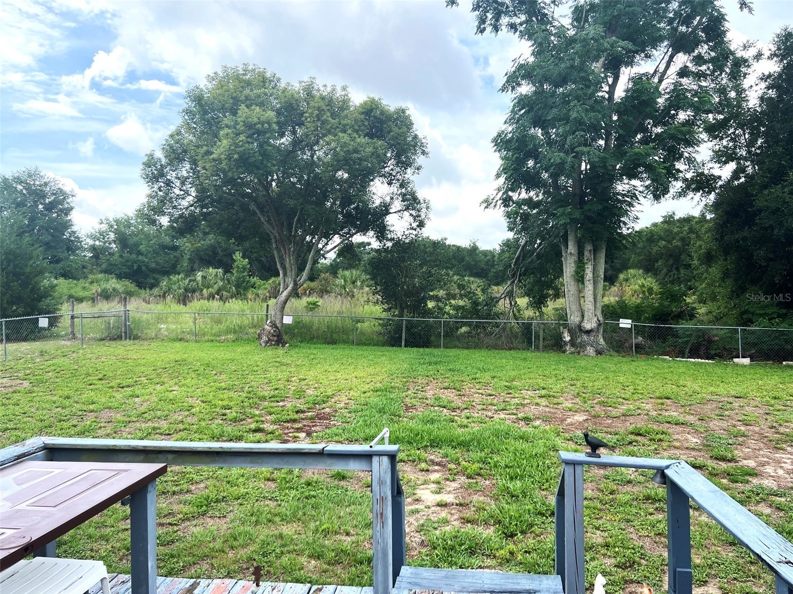 4538 Oak Street Fruitland Park FL 34731 G5112990 image4