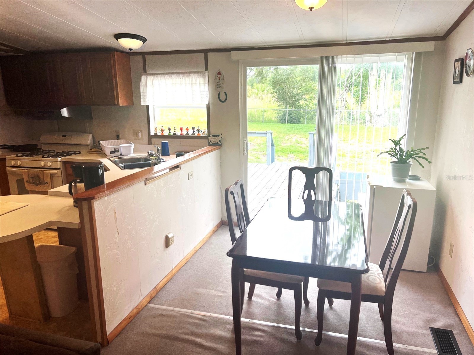 4538 Oak Street Fruitland Park FL 34731 G5112990 image7