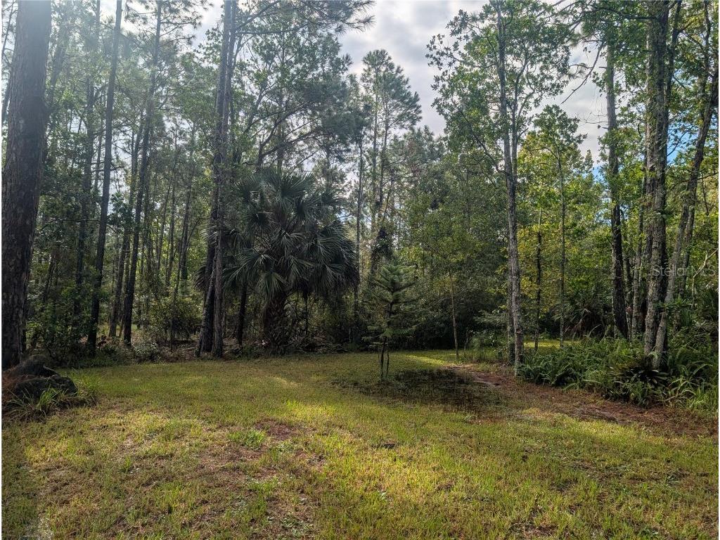 4538 Shadow Walk Lane New Smyrna Beach FL 32168 A4665180 image10