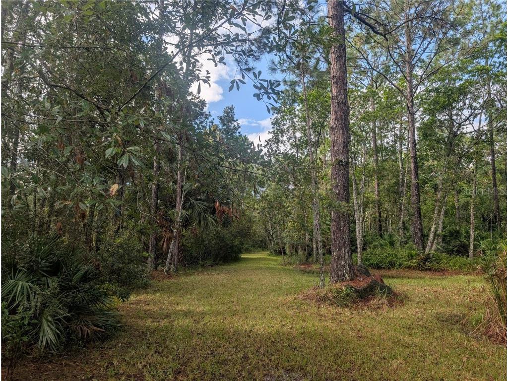 4538 Shadow Walk Lane New Smyrna Beach FL 32168 A4665180 image12