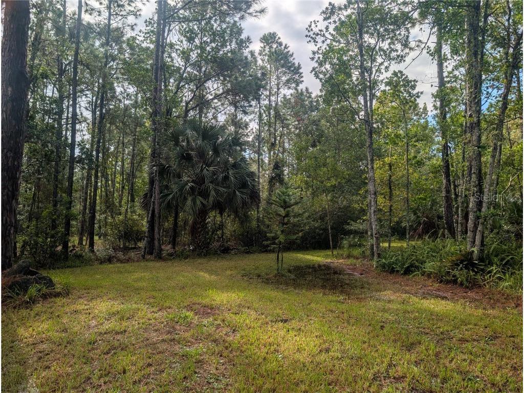 4538 Shadow Walk Lane New Smyrna Beach FL 32168 A4665180 image13