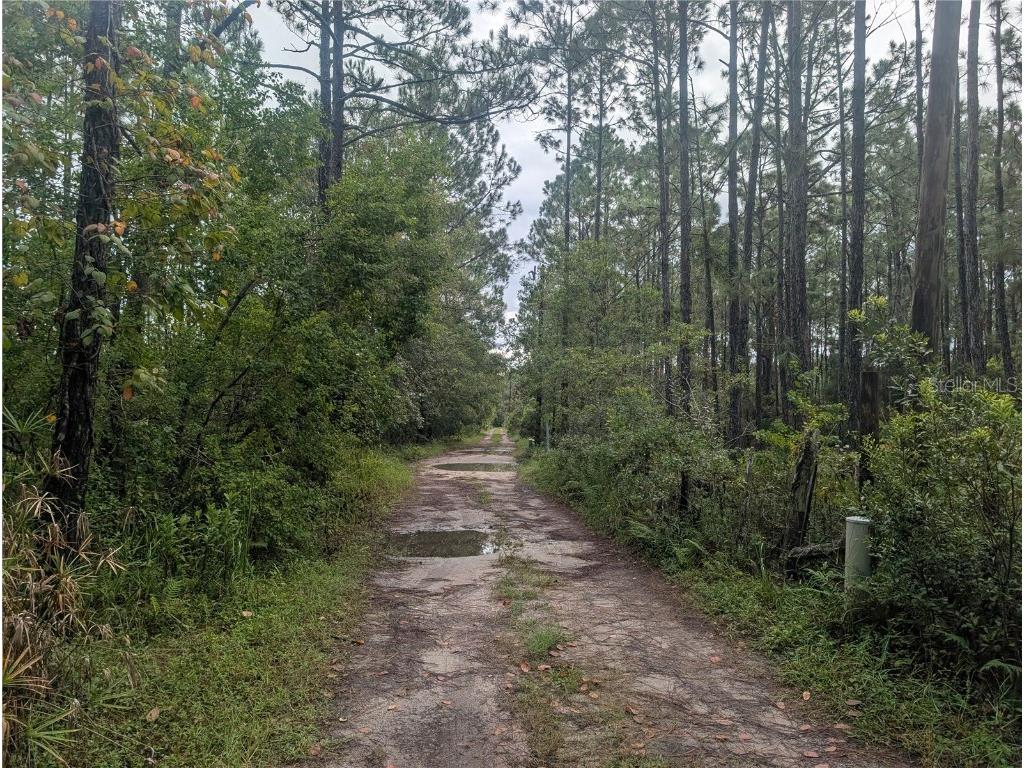 4538 Shadow Walk Lane New Smyrna Beach FL 32168 A4665180 image14