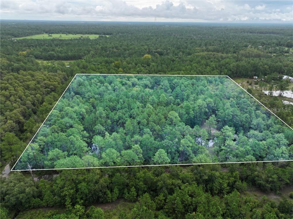 4538 Shadow Walk Lane New Smyrna Beach FL 32168 A4665180 image15