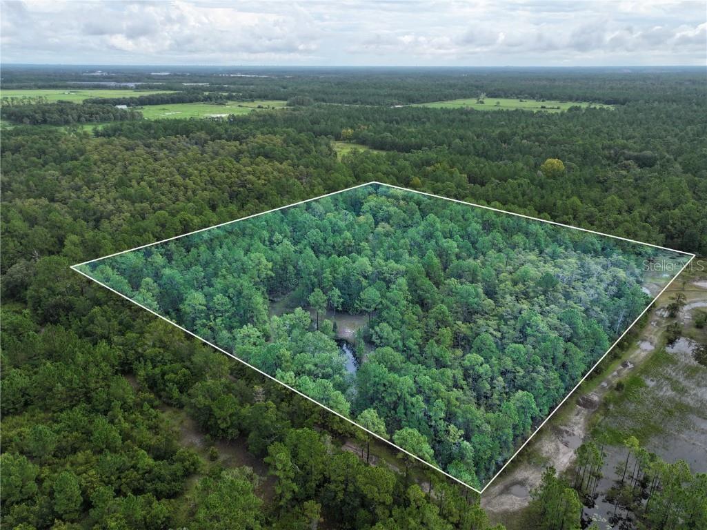 4538 Shadow Walk Lane New Smyrna Beach FL 32168 A4665180 image17