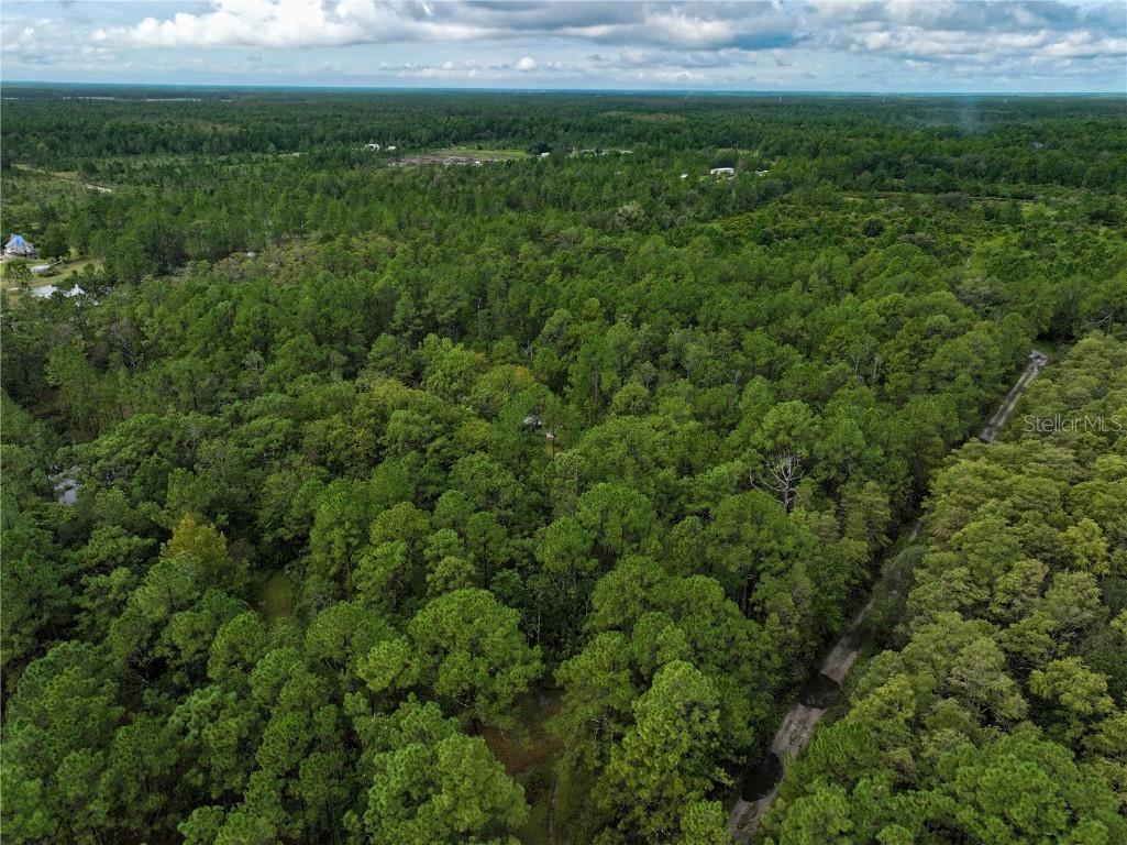 4538 Shadow Walk Lane New Smyrna Beach FL 32168 A4665180 image18