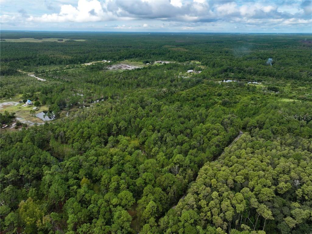 4538 Shadow Walk Lane New Smyrna Beach FL 32168 A4665180 image19