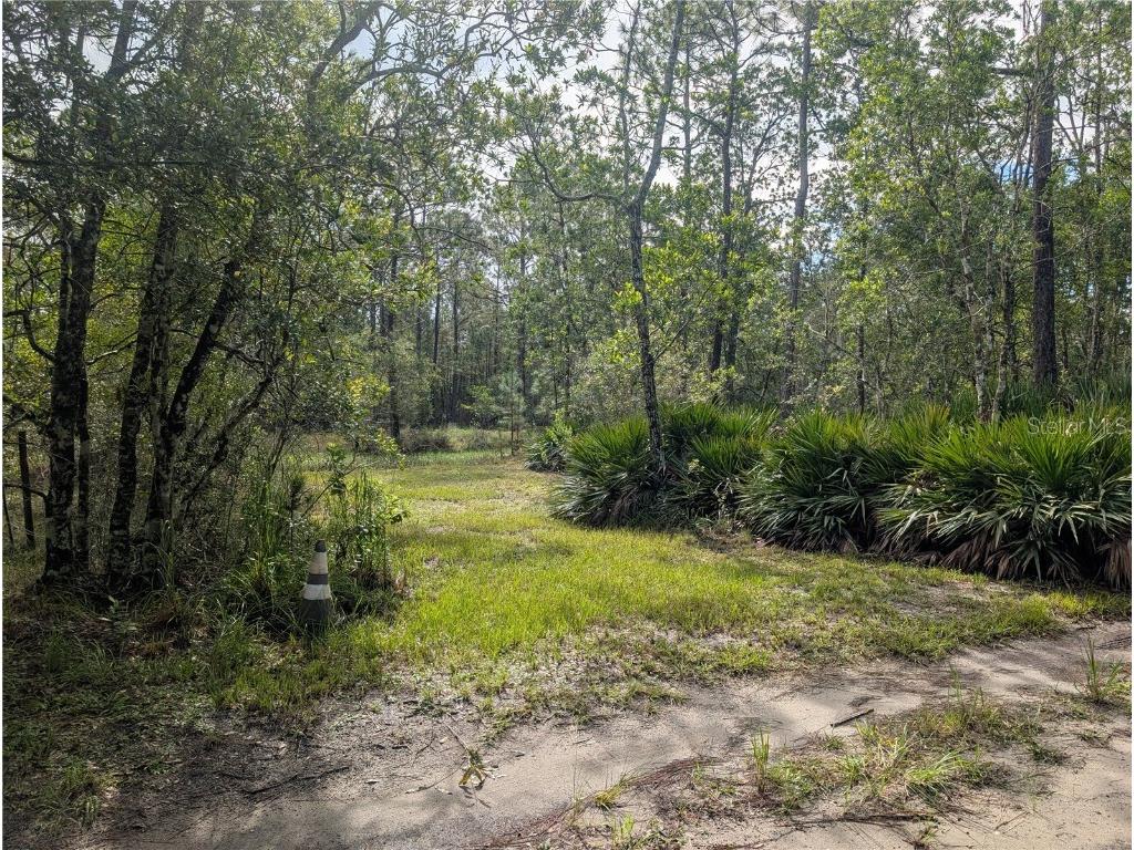 4538 Shadow Walk Lane New Smyrna Beach FL 32168 A4665180 image2