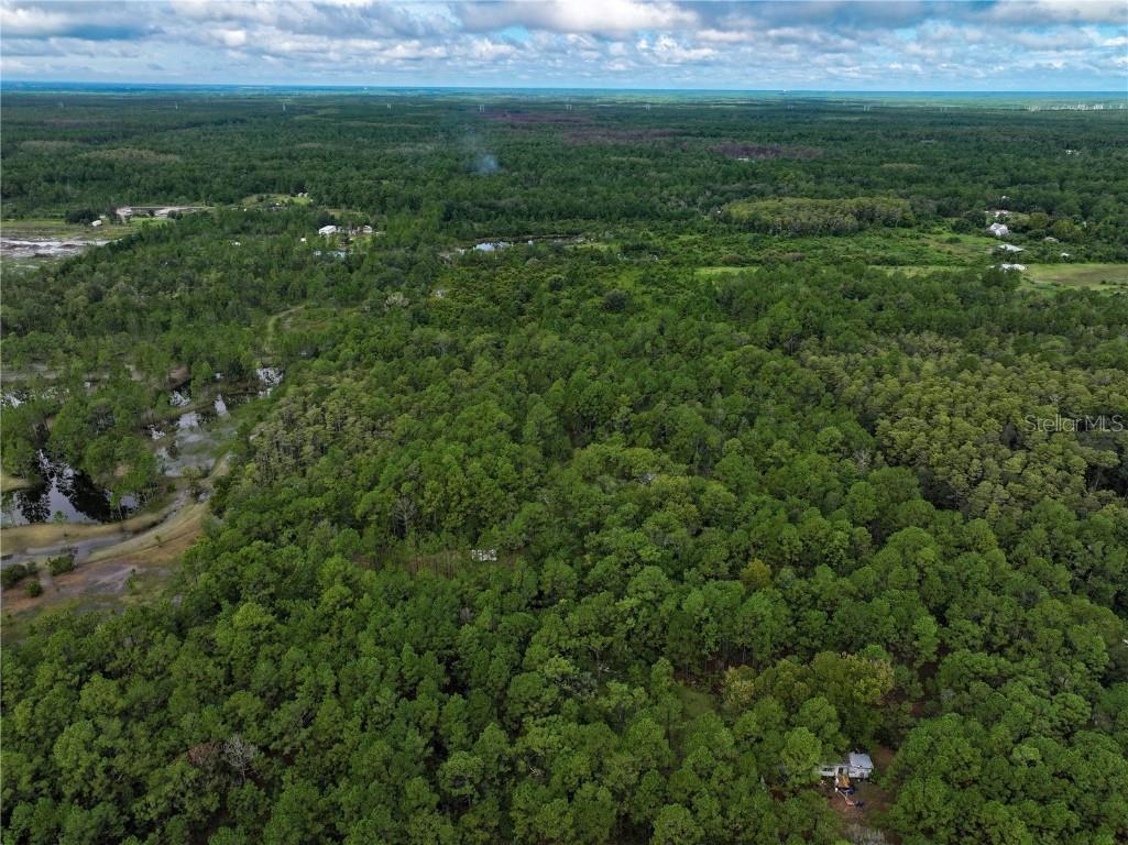 4538 Shadow Walk Lane New Smyrna Beach FL 32168 A4665180 image20