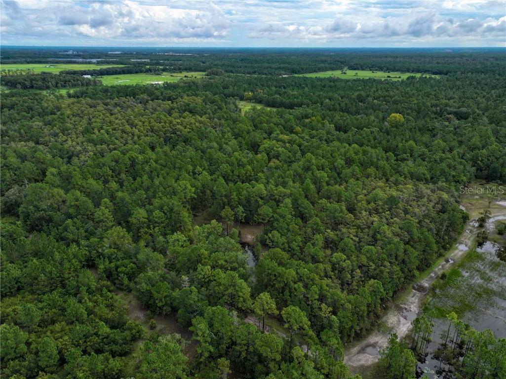 4538 Shadow Walk Lane New Smyrna Beach FL 32168 A4665180 image24