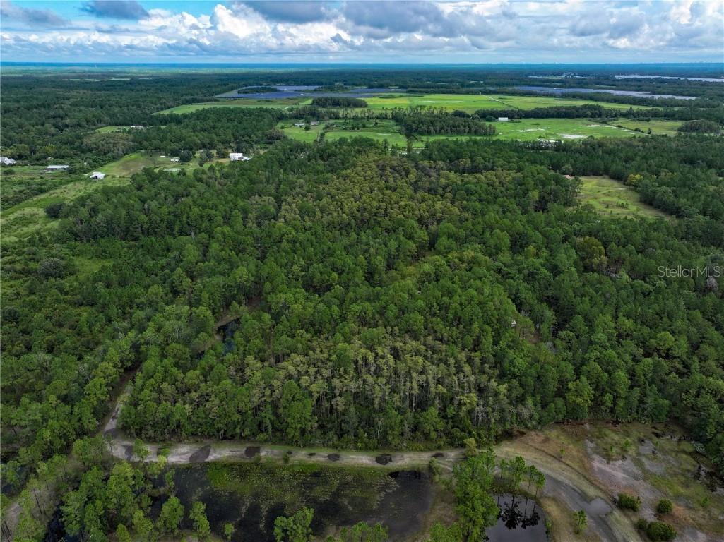 4538 Shadow Walk Lane New Smyrna Beach FL 32168 A4665180 image25