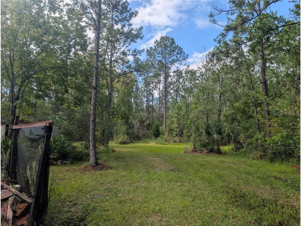 4538 Shadow Walk Lane New Smyrna Beach FL 32168 A4665180 image4