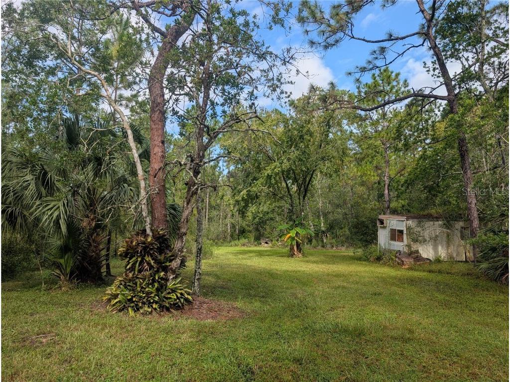 4538 Shadow Walk Lane New Smyrna Beach FL 32168 A4665180 image6