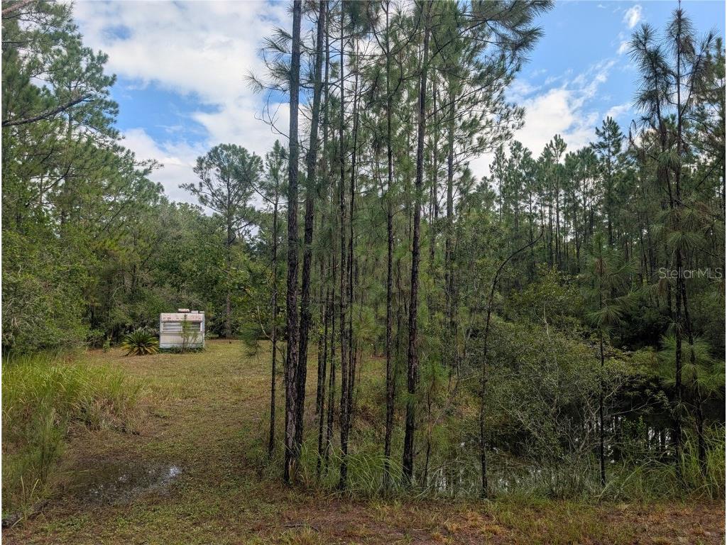 4538 Shadow Walk Lane New Smyrna Beach FL 32168 A4665180 image7