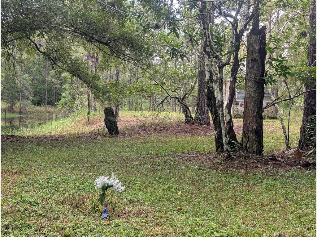 4538 Shadow Walk Lane New Smyrna Beach FL 32168 A4665180 image8