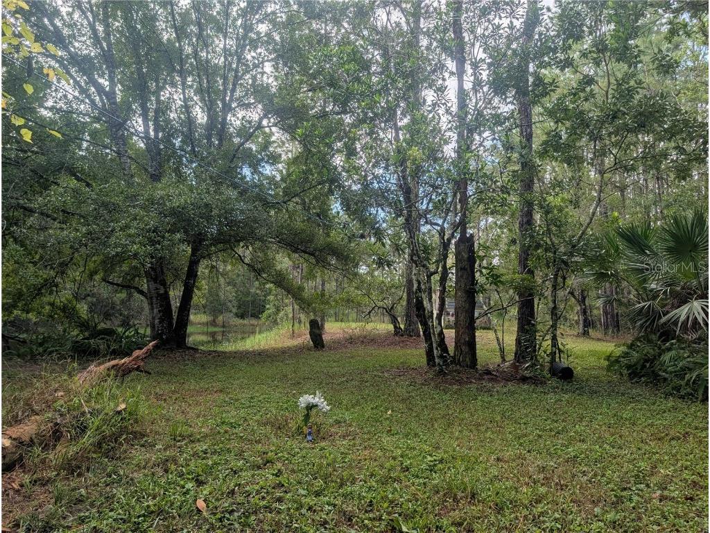 4538 Shadow Walk Lane New Smyrna Beach FL 32168 A4665180 image9