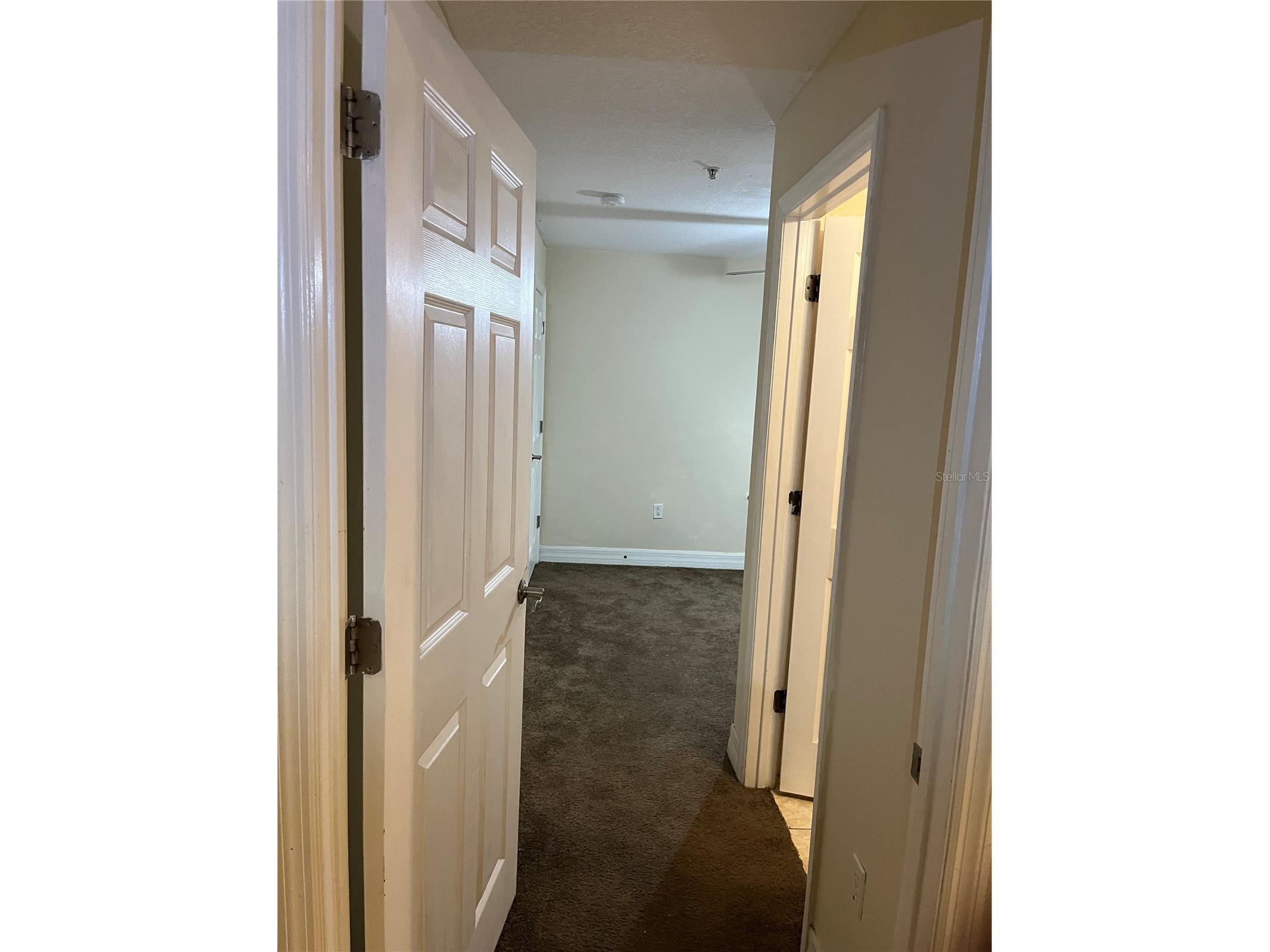 4539 Bay Spring Court Tampa FL 33611 TB8481732 image12