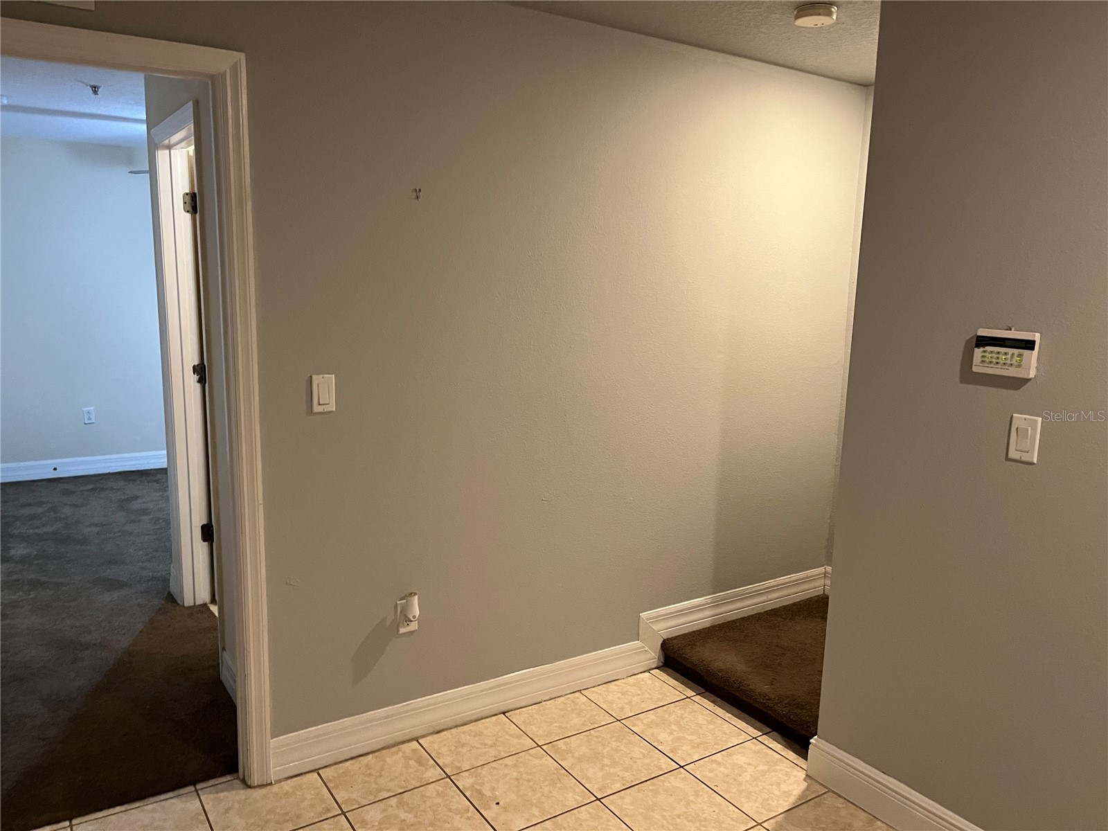 4539 Bay Spring Court Tampa FL 33611 TB8481732 image3