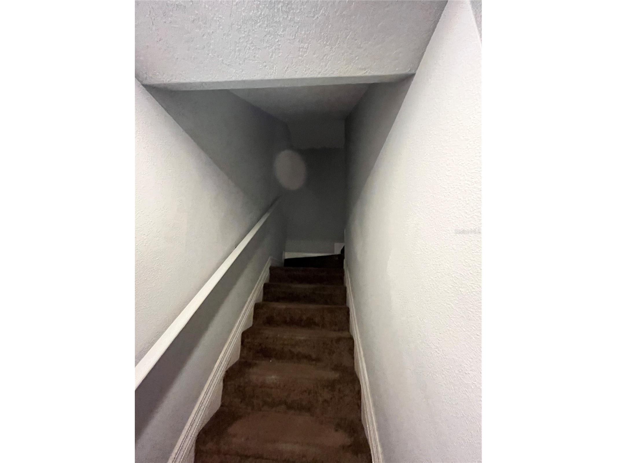 4539 Bay Spring Court Tampa FL 33611 TB8481732 image7