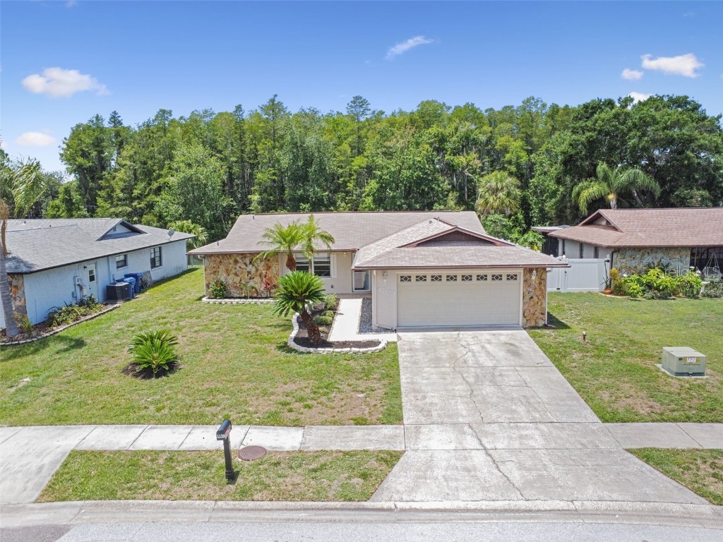 4539 Swallowtail Drive New Port Richey FL 34653 U8202989 image1