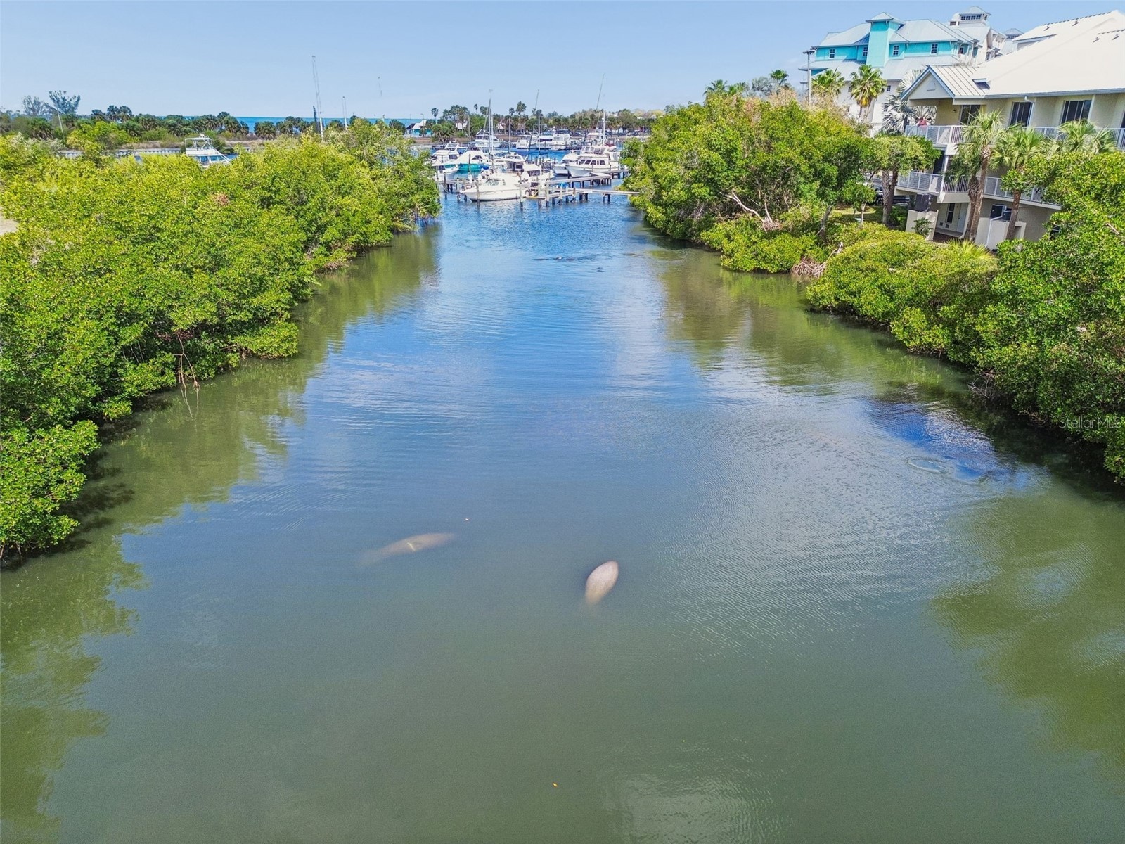 454 Bahia Beach Boulevard Ruskin FL 33570 - TAMPA BAY A4684484 image11