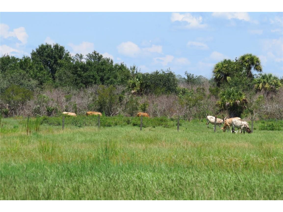 454 Cottage Circle River Ranch FL 33867 TB8419556 image35