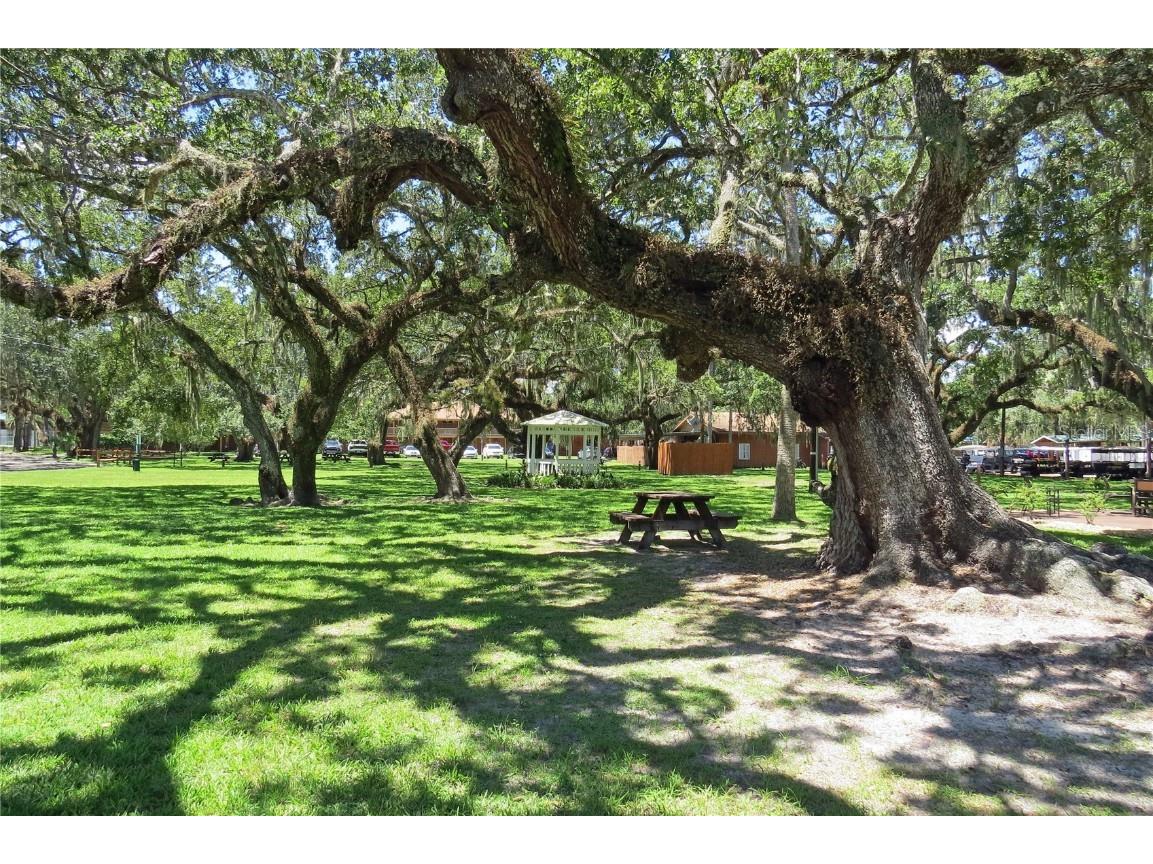 454 Cottage Circle River Ranch FL 33867 TB8419556 image37