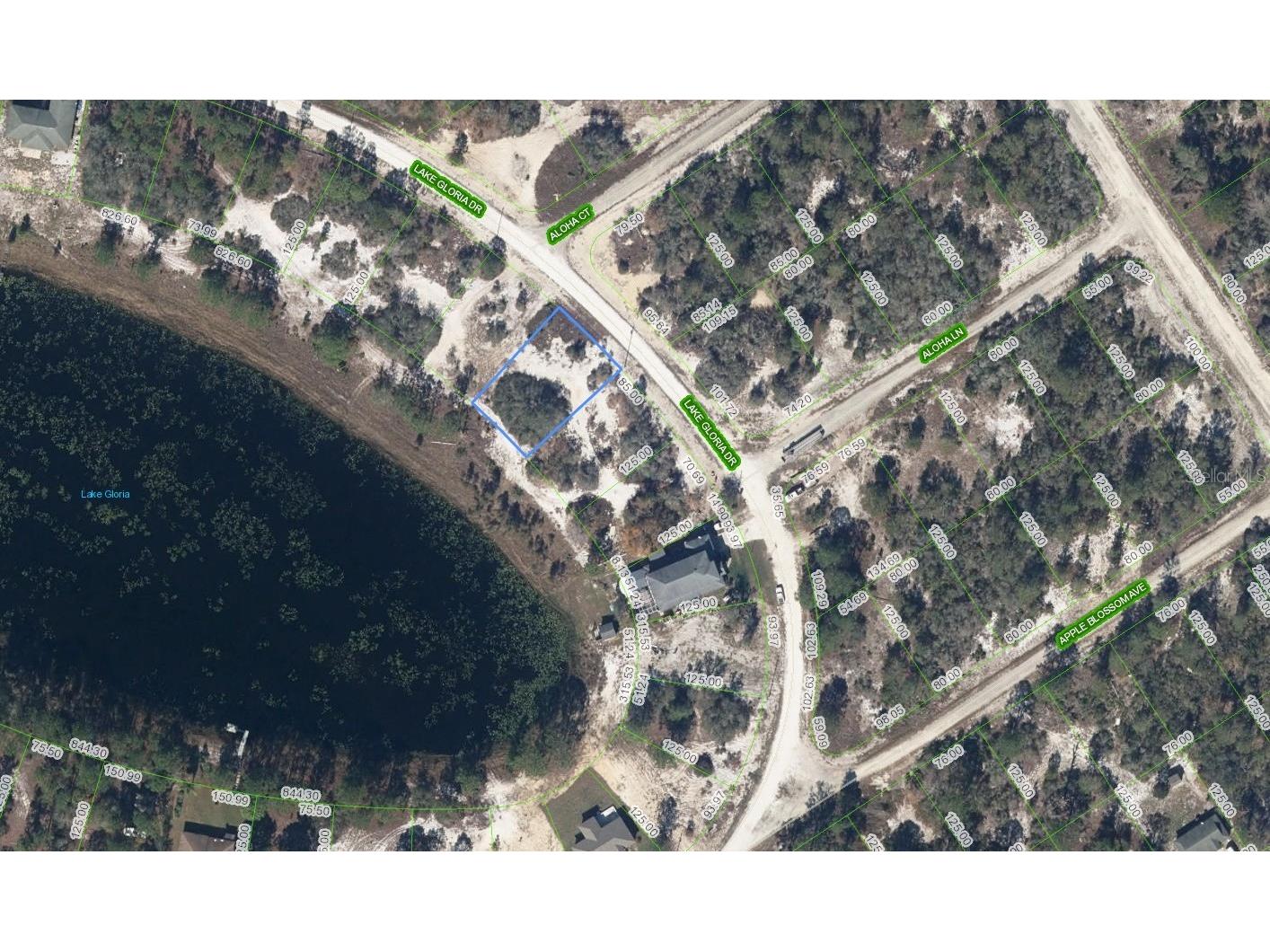 454 Lake Gloria Drive Lake Placid FL 33852 - GLORIA L4960548 image1