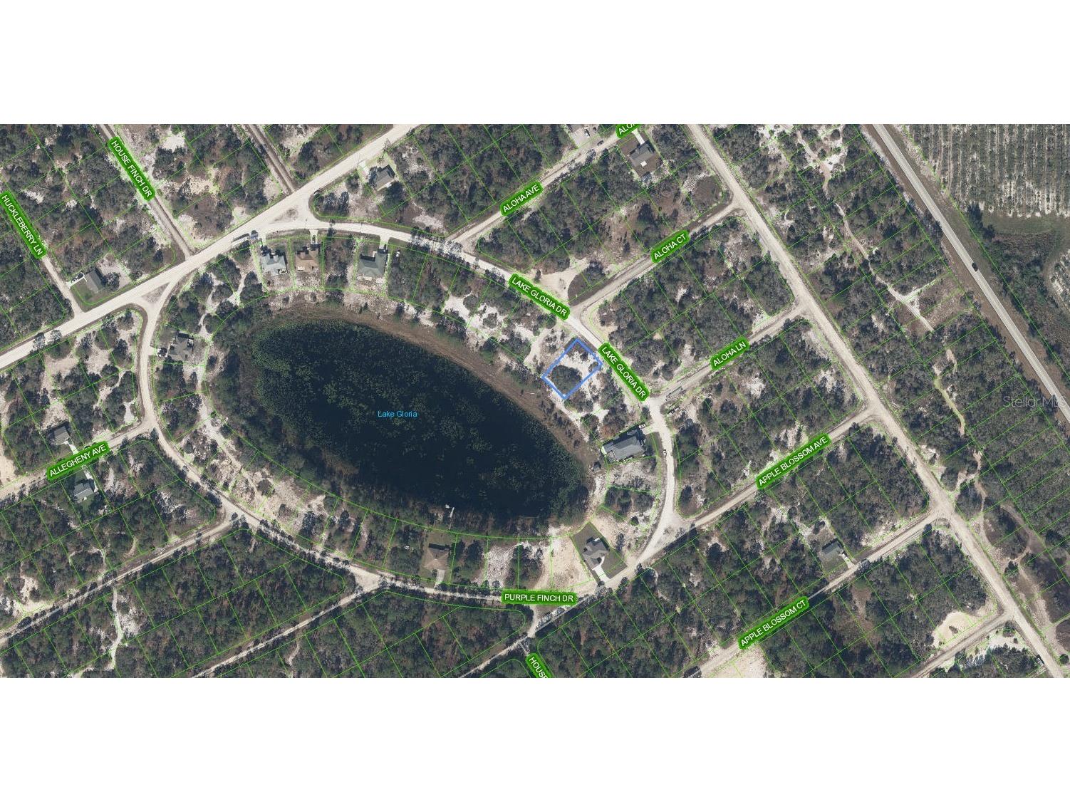 454 Lake Gloria Drive Lake Placid FL 33852 - GLORIA L4960548 image3