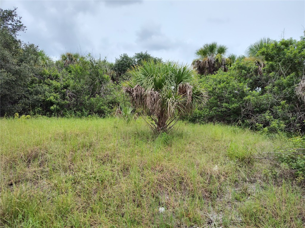 454 Salisbury Street Port Charlotte FL 33954 - CRESTVIEW WATERWAY C7484213 image1