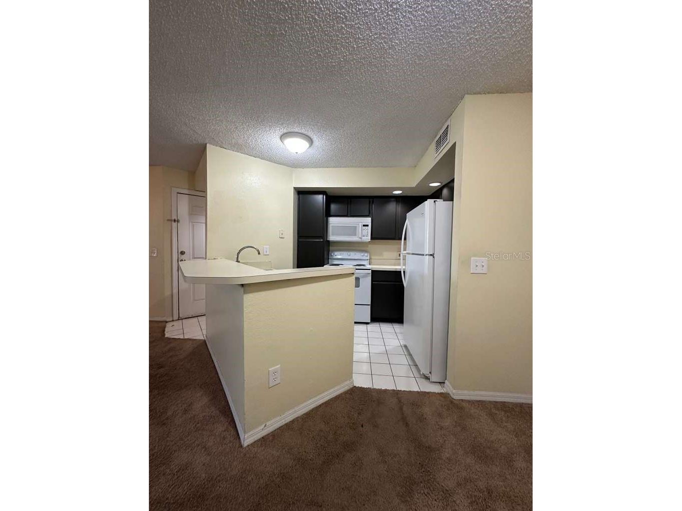 4540 Commander Drive #2214 Orlando FL 32822 O6367110 image3