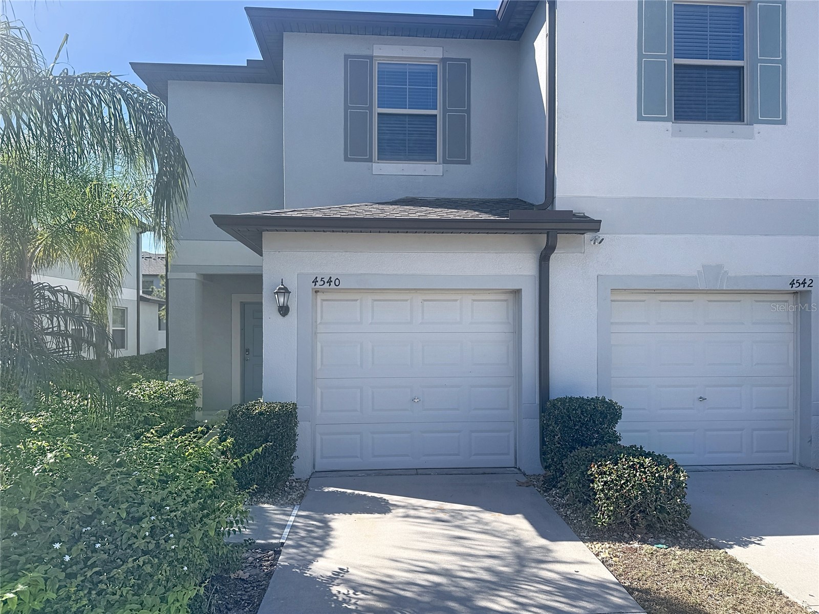 4540 Globe Thistle Drive Tampa FL 33619 TB8470104 image1
