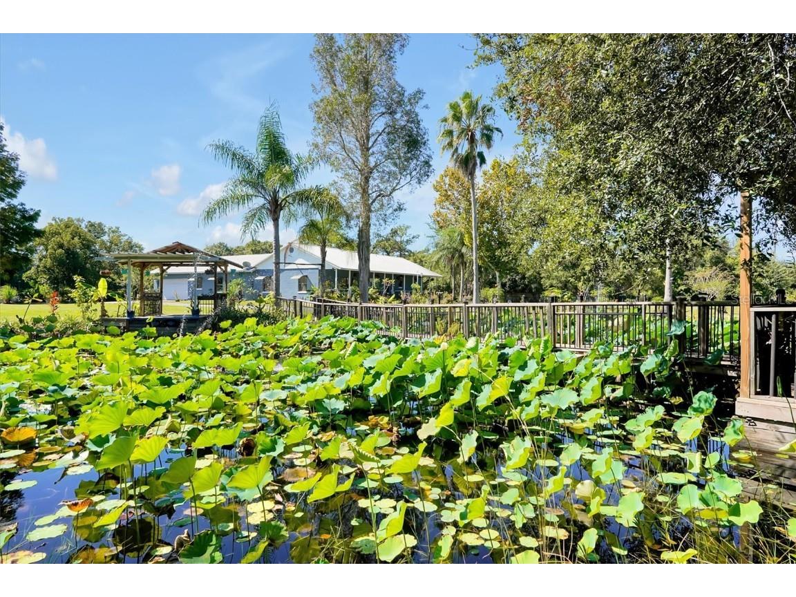 4540 Pine Tree Dr Saint Cloud FL 34772 S5137084 image43