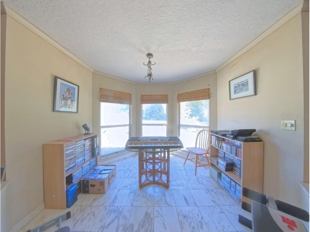 4540 W Highway 318 Citra FL 32113 OM713261 image10