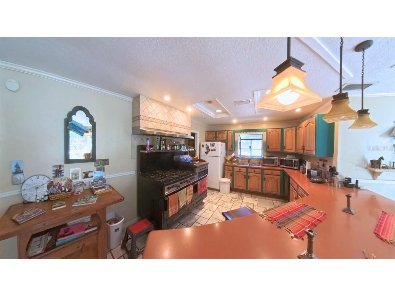 4540 W Highway 318 Citra FL 32113 OM713261 image27