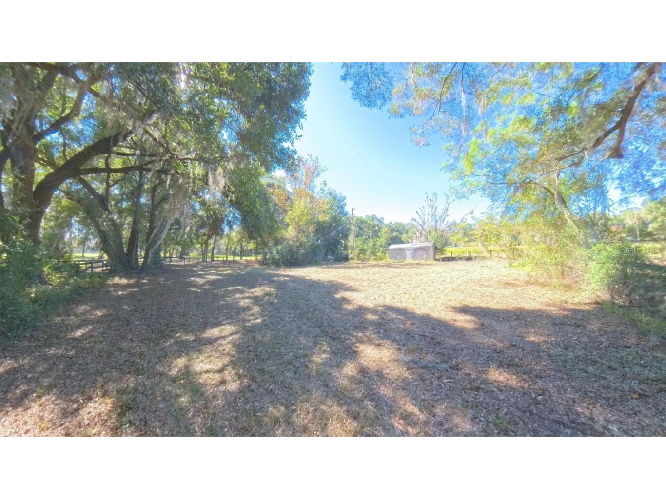 4540 W Highway 318 Citra FL 32113 OM713261 image52