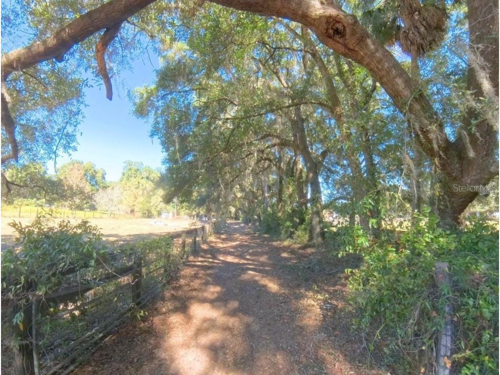 4540 W Highway 318 Citra FL 32113 OM713261 image53