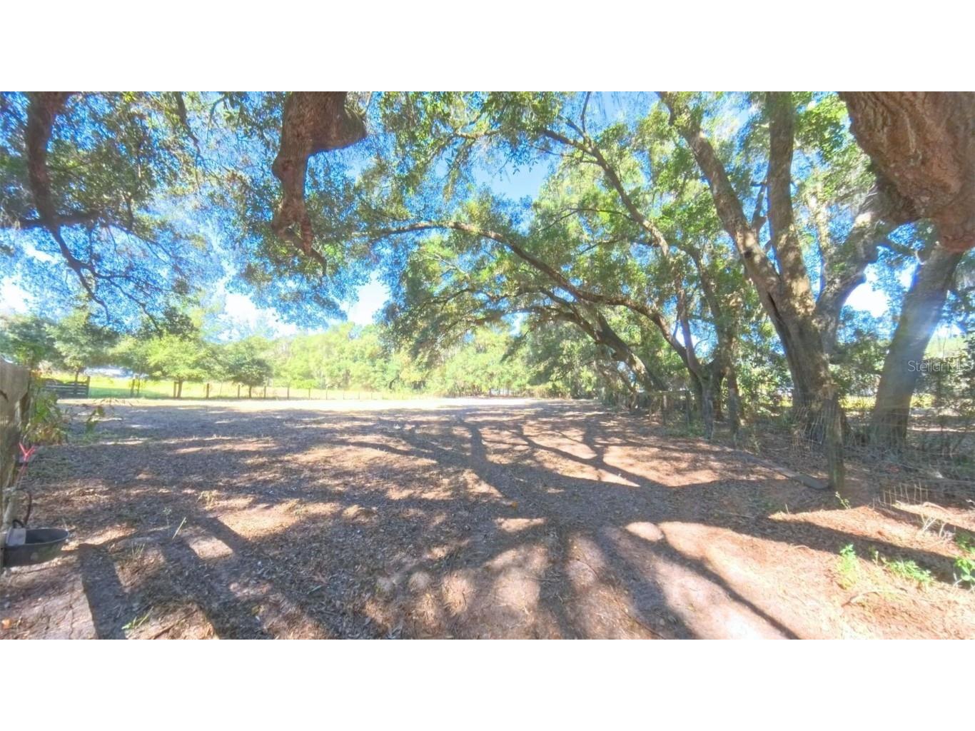 4540 W Highway 318 Citra FL 32113 OM713261 image59