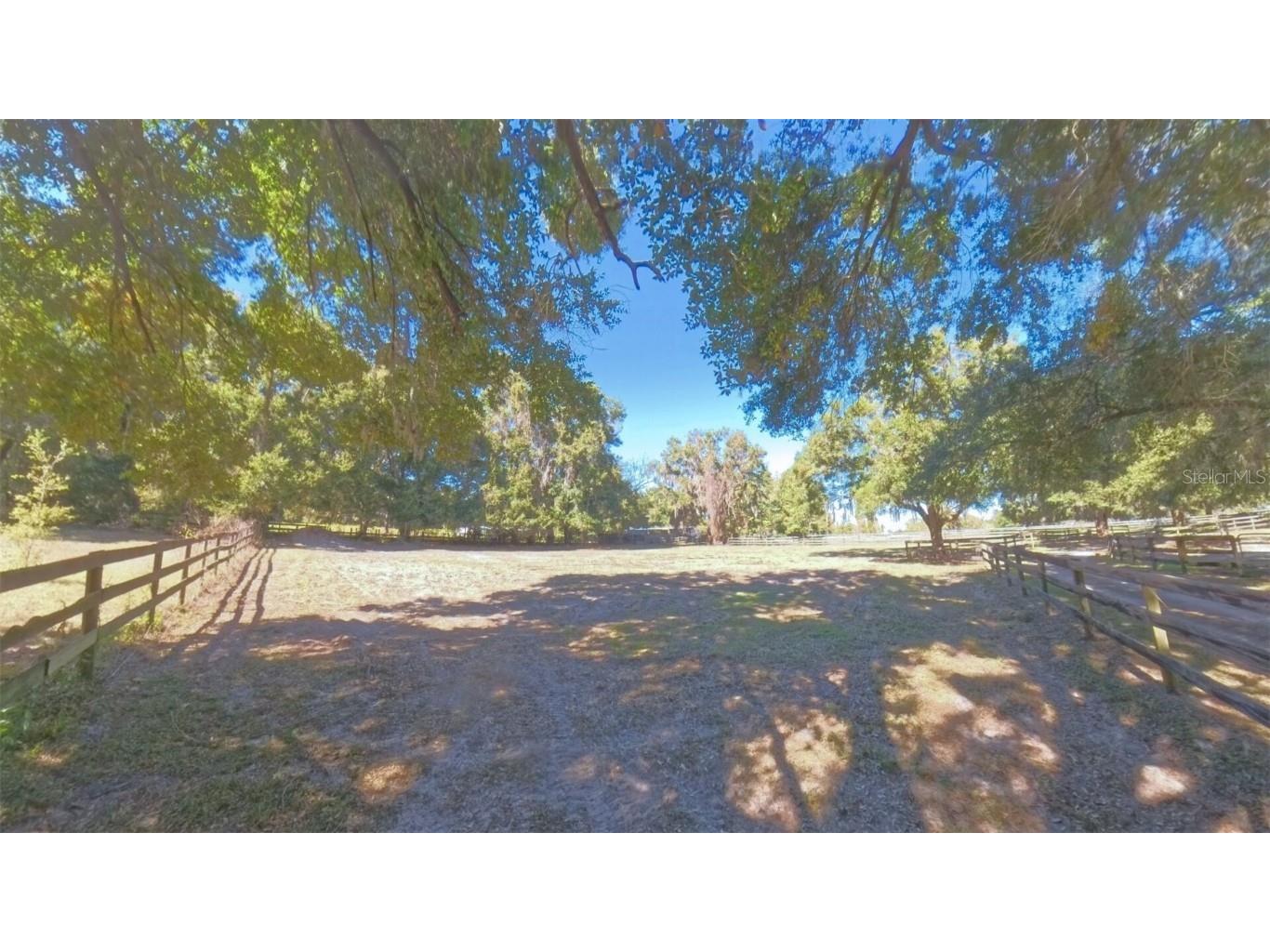 4540 W Highway 318 Citra FL 32113 OM713261 image61