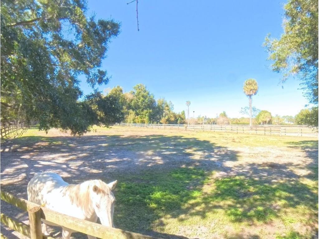 4540 W Highway 318 Citra FL 32113 OM713261 image62