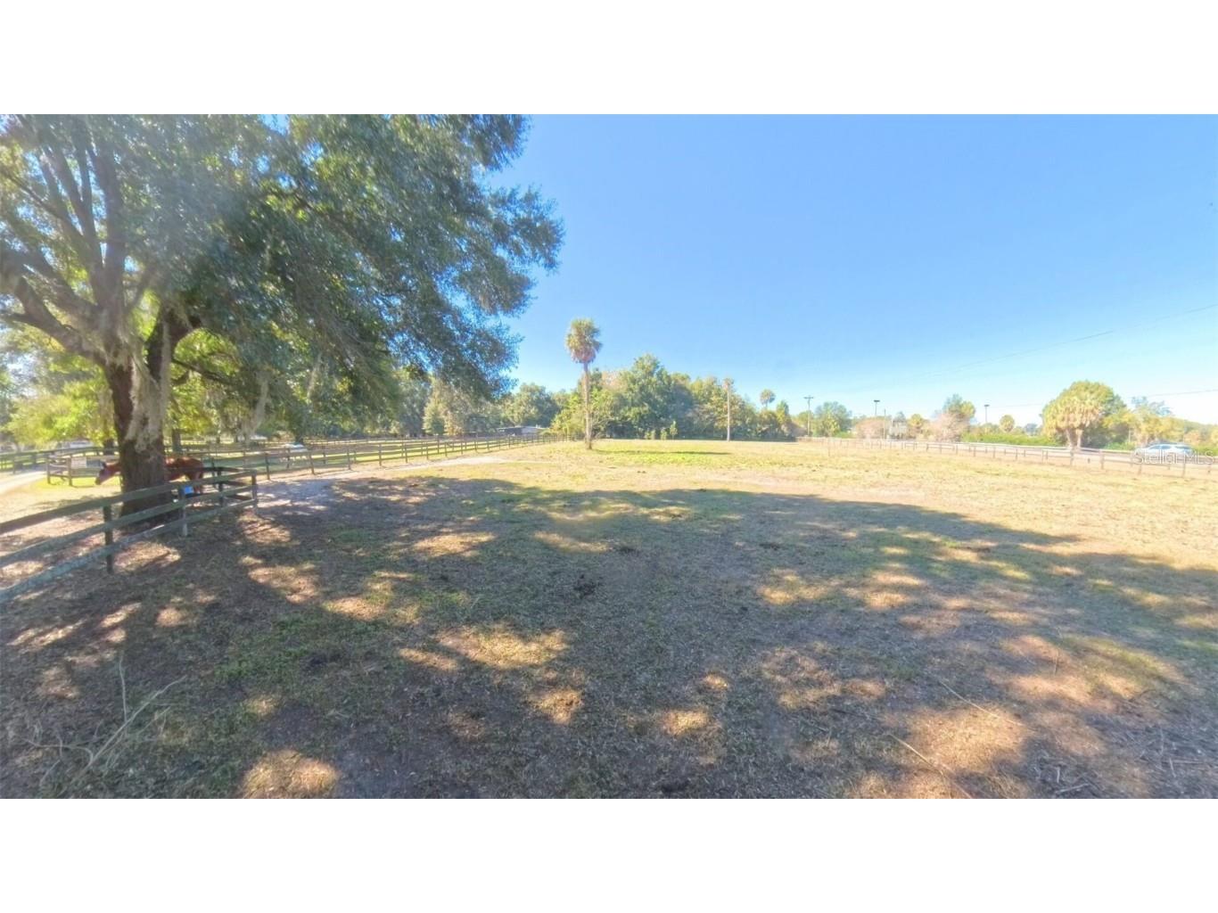 4540 W Highway 318 Citra FL 32113 OM713261 image64