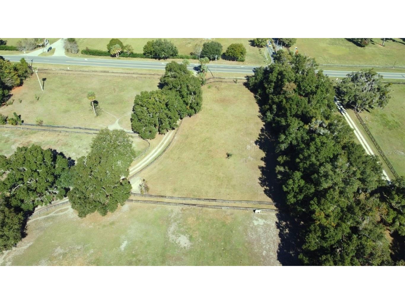 4540 W Highway 318 Citra FL 32113 OM713261 image73