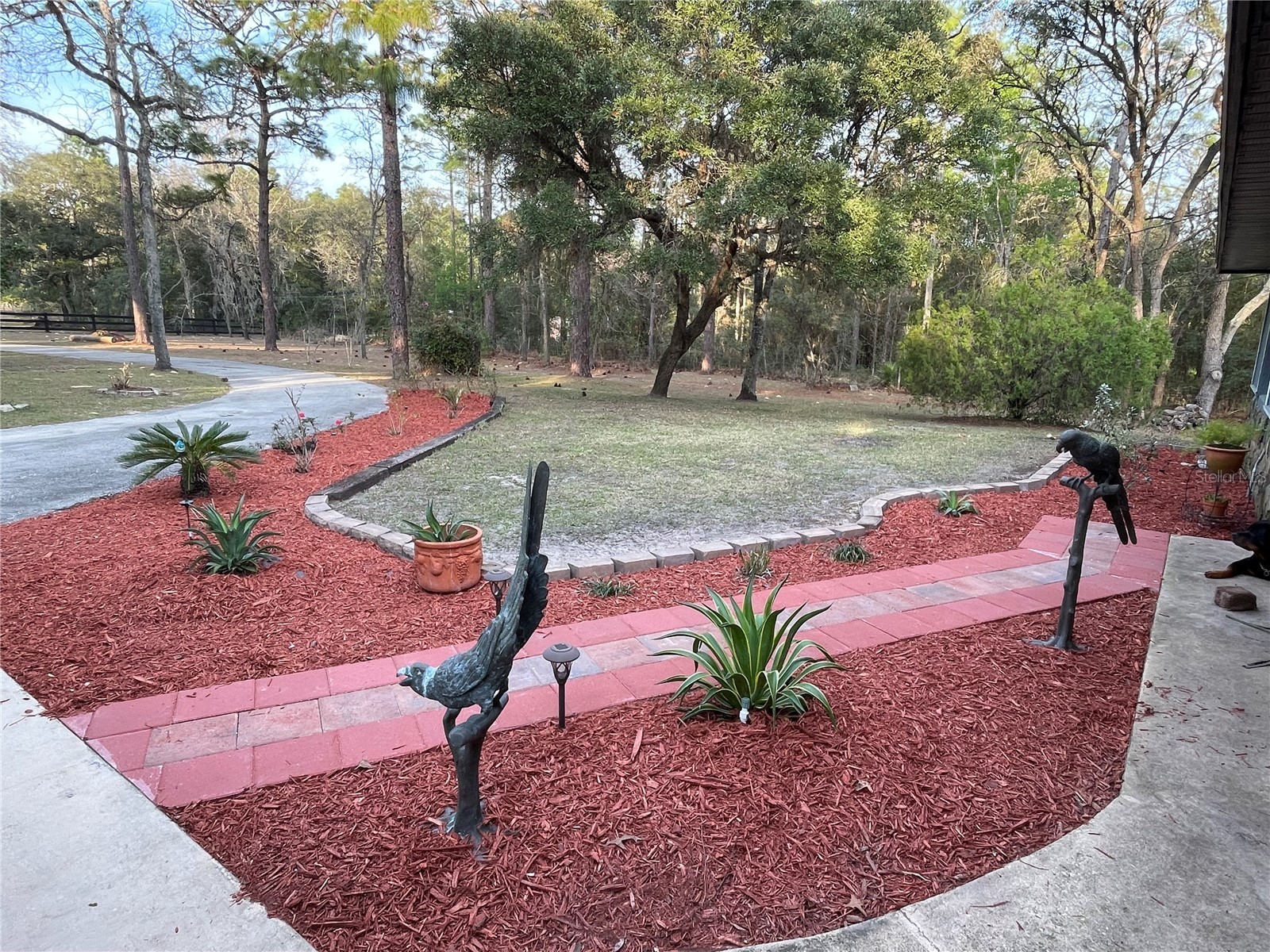4540 W Sandy Hill Street Lecanto FL 34461 OM712833 image3