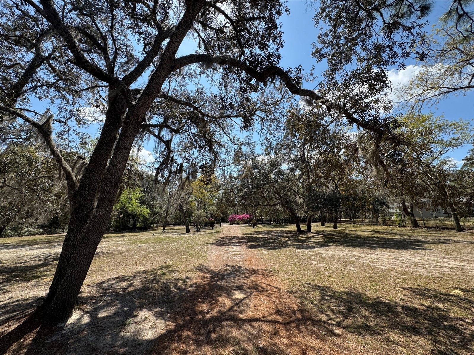 4540 W Sandy Hill Street Lecanto FL 34461 OM712833 image44