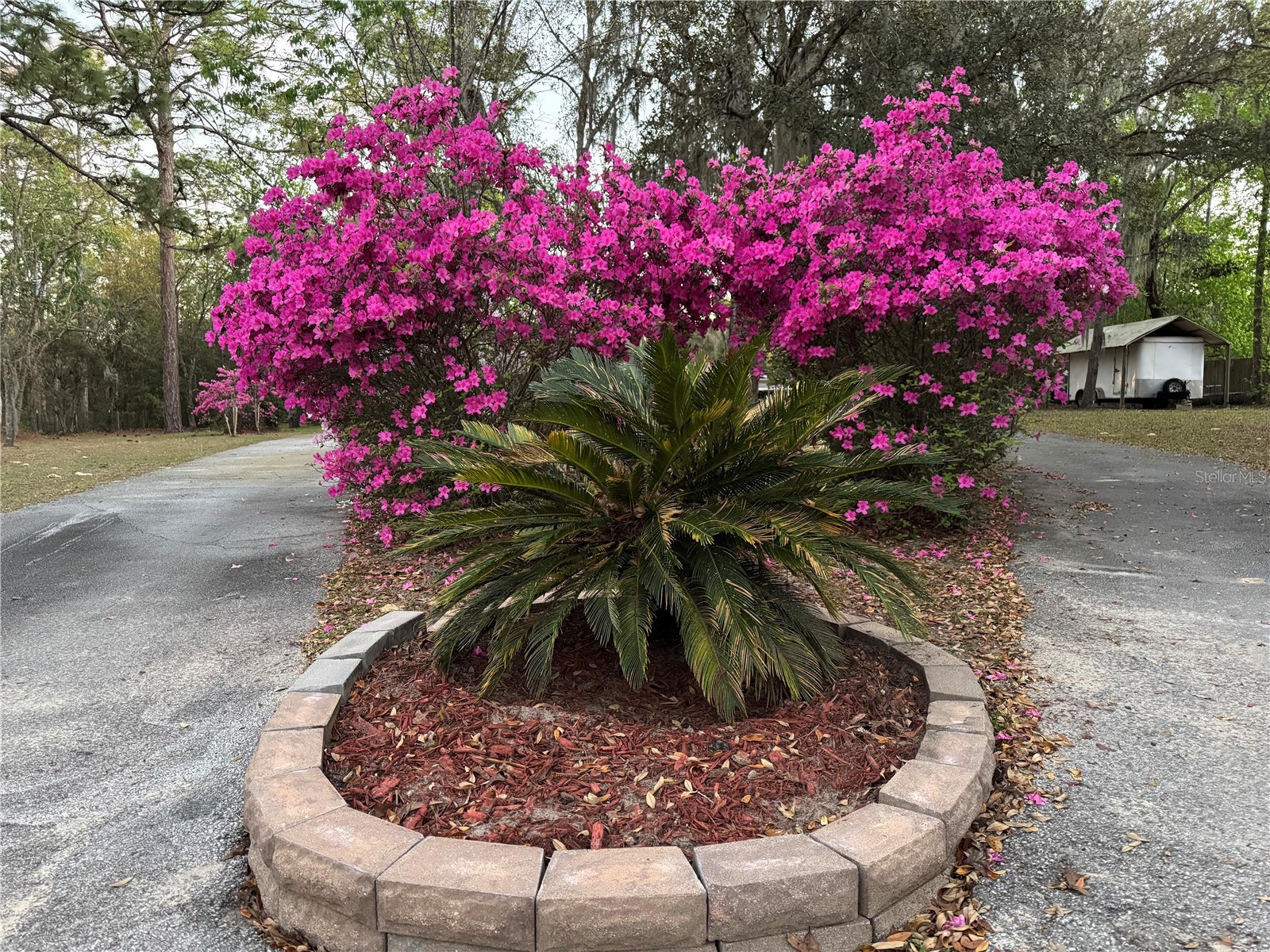 4540 W Sandy Hill Street Lecanto FL 34461 OM712833 image45