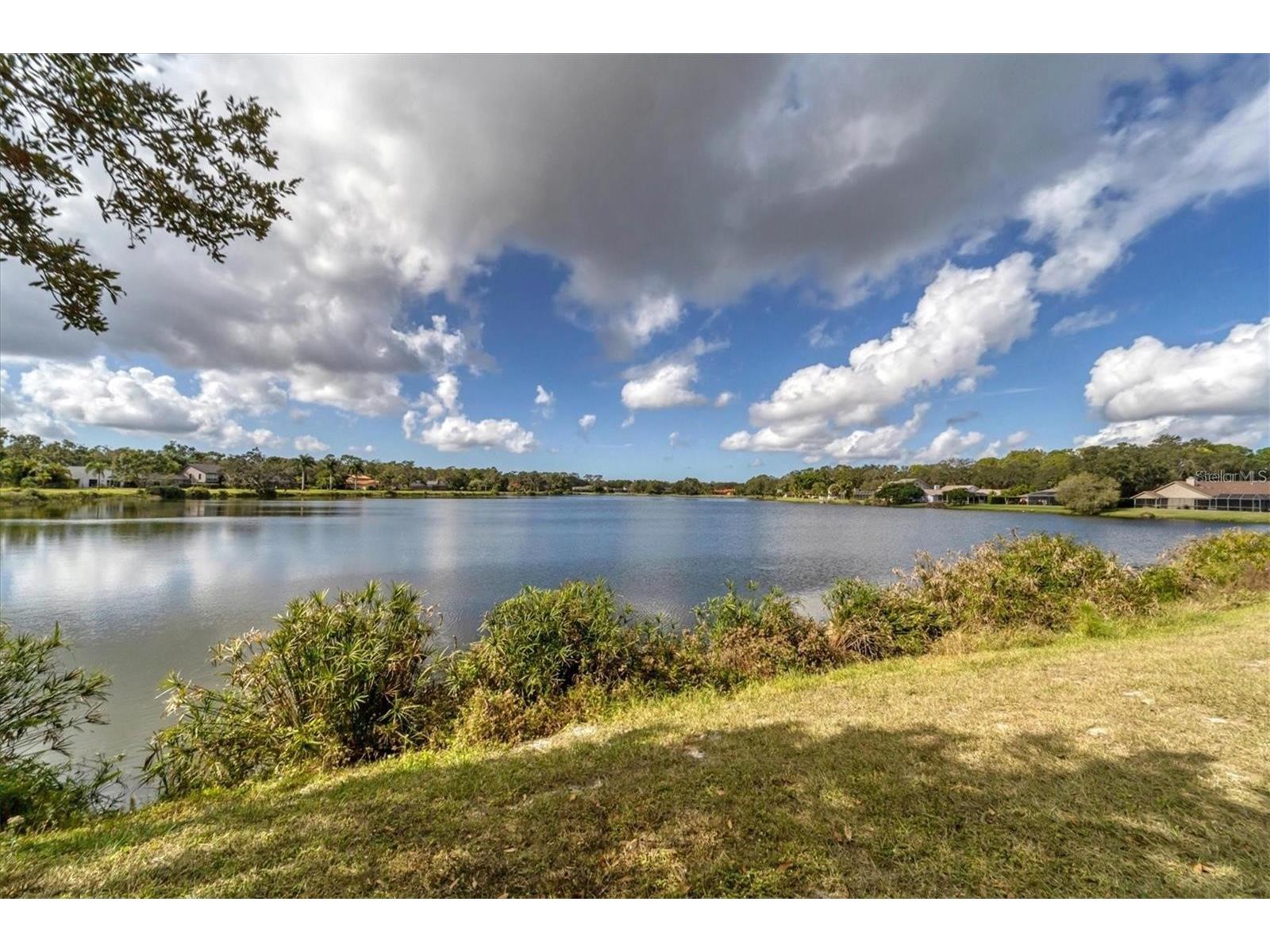 4541 Charing Cross Road Sarasota FL 34241 TB8506161 image40