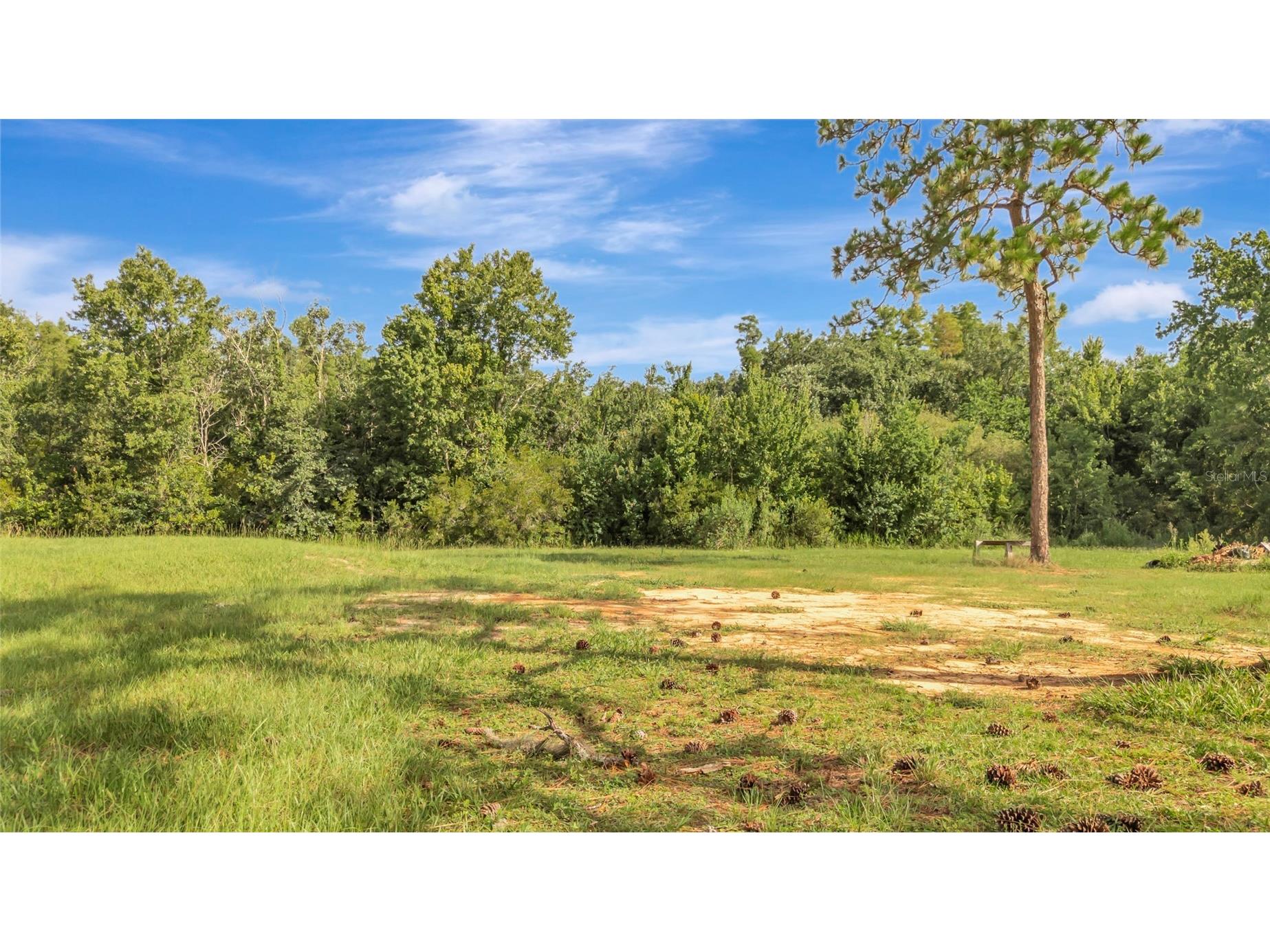 4541 County Road 561 Clermont FL 34714 G5114813 image5
