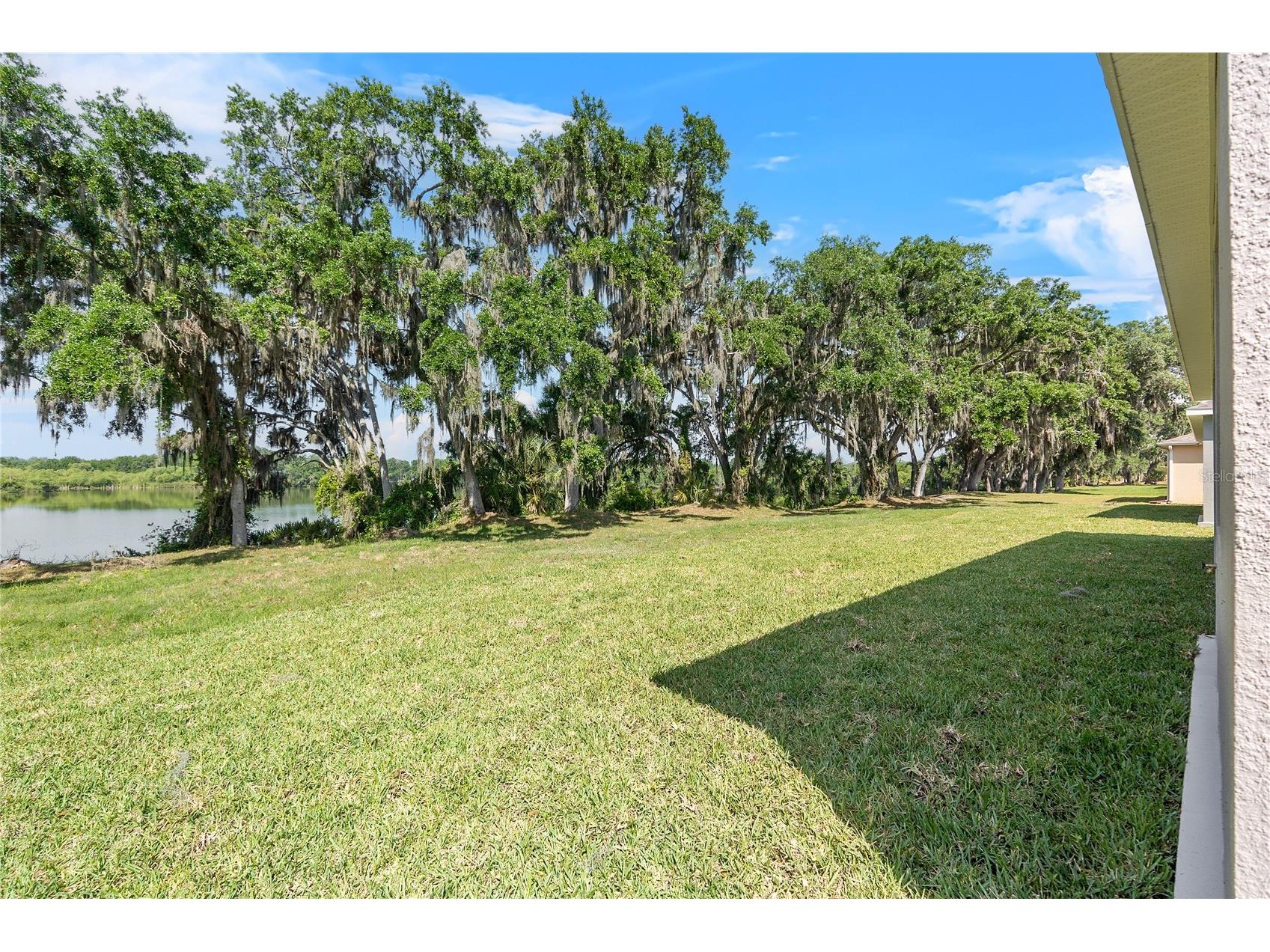 4541 Fairway Oaks Drive Mulberry FL 33860 L4960854 image39