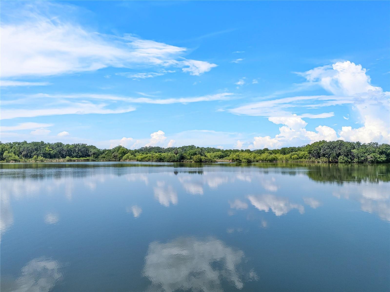 4541 Fairway Oaks Drive Mulberry FL 33860 L4960854 image40