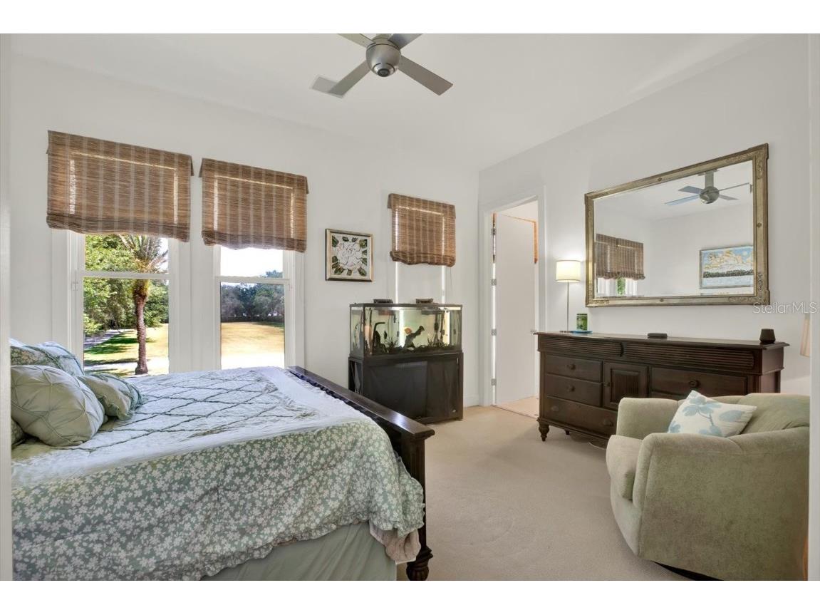 4541 School Road Land O Lakes FL 34638 W7875237 image42