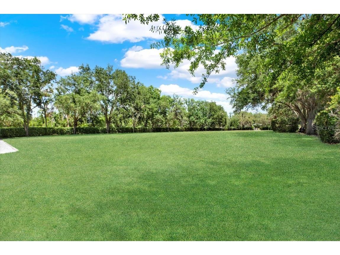 4541 School Road Land O Lakes FL 34638 W7875237 image45